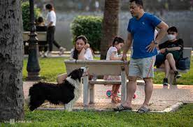 VIDEO: Mối nguy từ tình trạng chó không đeo rọ mõm nơi công cộng